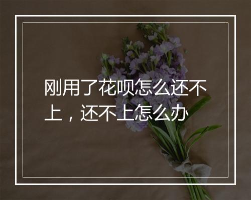 刚用了花呗怎么还不上，还不上怎么办