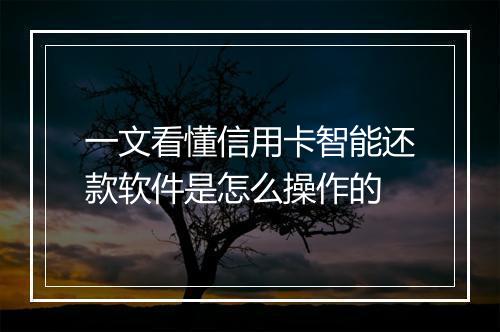 一文看懂信用卡智能还款软件是怎么操作的