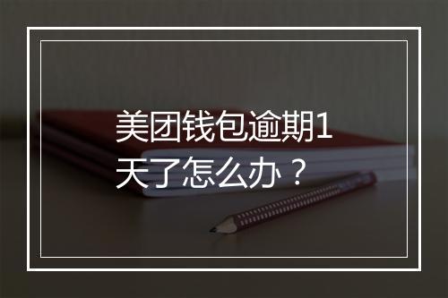 美团钱包逾期1天了怎么办？