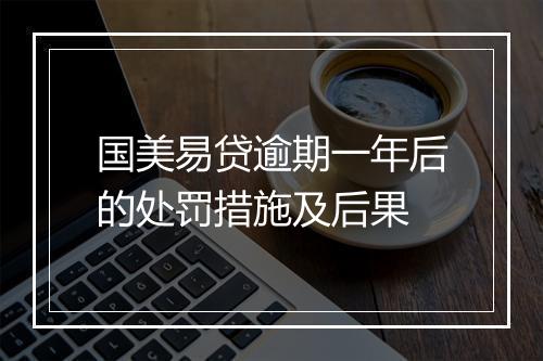 国美易贷逾期一年后的处罚措施及后果