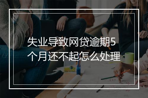 失业导致网贷逾期5个月还不起怎么处理