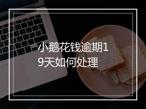 小鹅花钱逾期19天如何处理