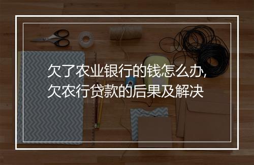 欠了农业银行的钱怎么办,欠农行贷款的后果及解决