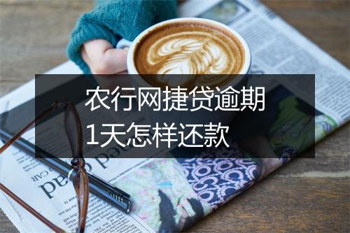 农行网捷贷逾期1天怎样还款