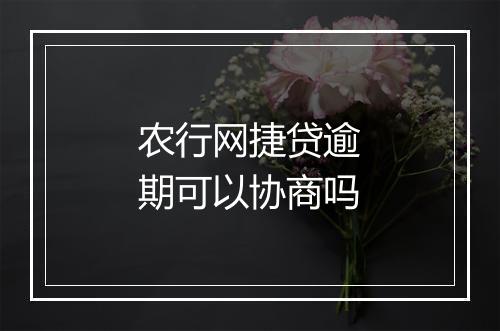农行网捷贷逾期可以协商吗