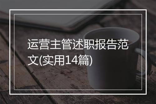 运营主管述职报告范文(实用14篇)