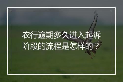 农行逾期多久进入起诉阶段的流程是怎样的？