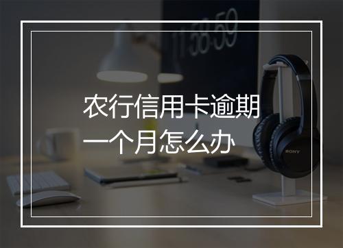 农行信用卡逾期一个月怎么办