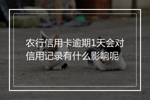 农行信用卡逾期1天会对信用记录有什么影响呢