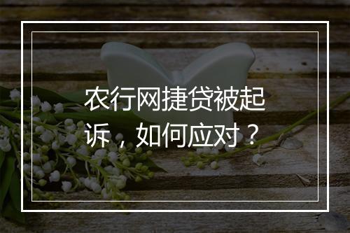 农行网捷贷被起诉，如何应对？