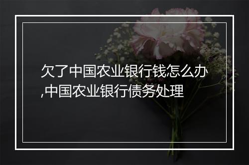 欠了中国农业银行钱怎么办,中国农业银行债务处理