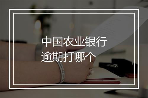 中国农业银行逾期打哪个