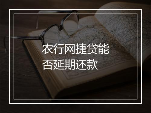 农行网捷贷能否延期还款