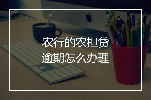 农行的农担贷逾期怎么办理