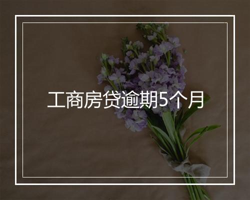 工商房贷逾期5个月