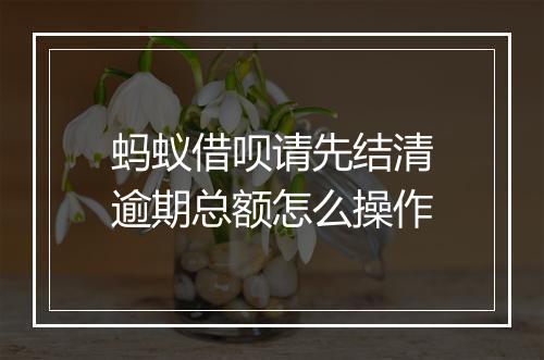 蚂蚁借呗请先结清逾期总额怎么操作