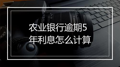 农业银行逾期5年利息怎么计算