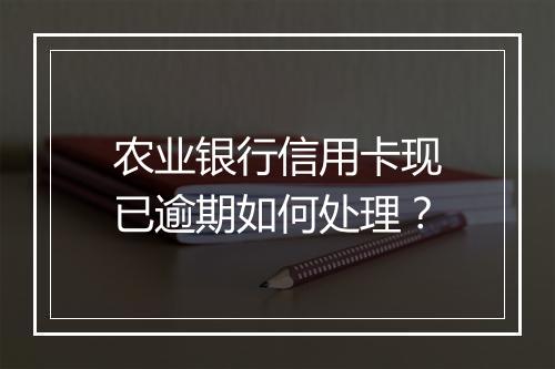 农业银行信用卡现已逾期如何处理？