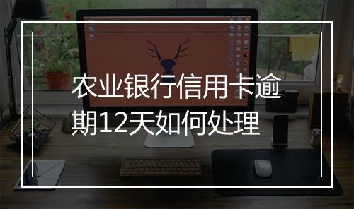 农业银行信用卡逾期12天如何处理