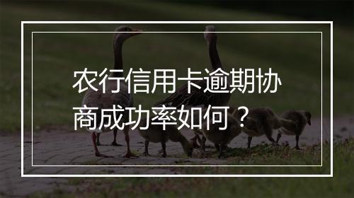 农行信用卡逾期协商成功率如何？