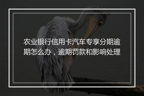 农业银行信用卡汽车专享分期逾期怎么办，逾期罚款和影响处理