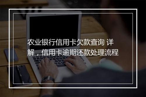 农业银行信用卡欠款查询 详解，信用卡逾期还款处理流程