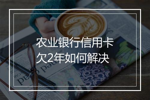 农业银行信用卡欠2年如何解决