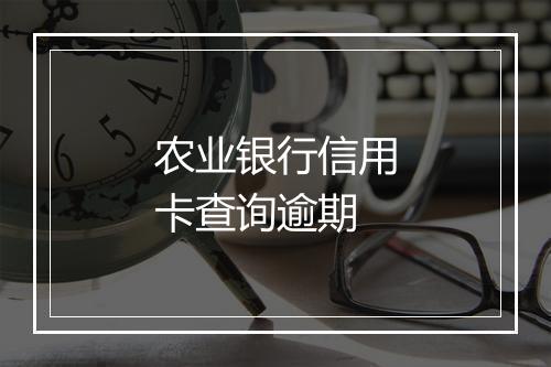 农业银行信用卡查询逾期