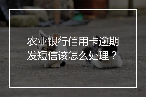 农业银行信用卡逾期发短信该怎么处理？