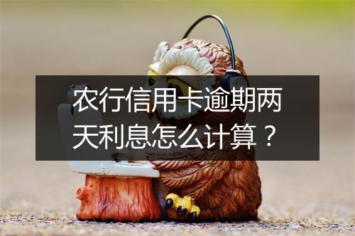 农行信用卡逾期两天利息怎么计算？