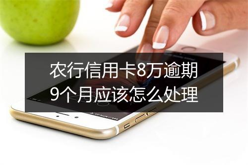 农行信用卡8万逾期9个月应该怎么处理