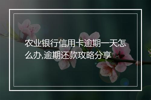 农业银行信用卡逾期一天怎么办,逾期还款攻略分享