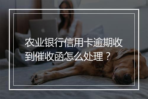 农业银行信用卡逾期收到催收函怎么处理？