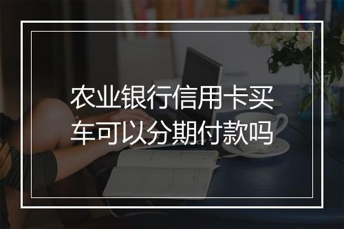 农业银行信用卡买车可以分期付款吗