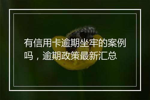有信用卡逾期坐牢的案例吗，逾期政策最新汇总
