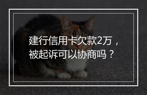建行信用卡欠款2万，被起诉可以协商吗？