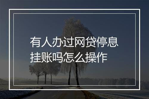 有人办过网贷停息挂账吗怎么操作