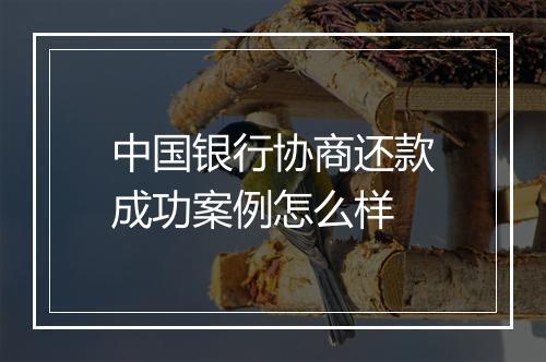 中国银行协商还款成功案例怎么样