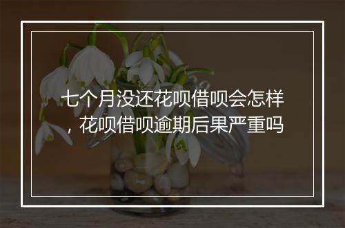 七个月没还花呗借呗会怎样，花呗借呗逾期后果严重吗