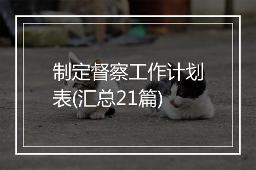 制定督察工作计划表(汇总21篇)