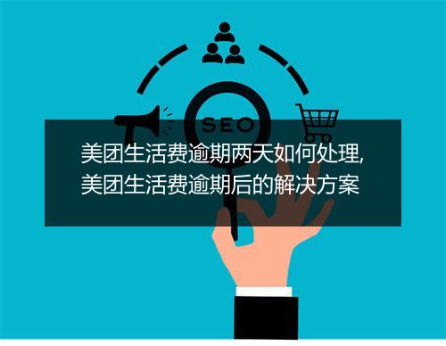 美团生活费逾期两天如何处理,美团生活费逾期后的解决方案