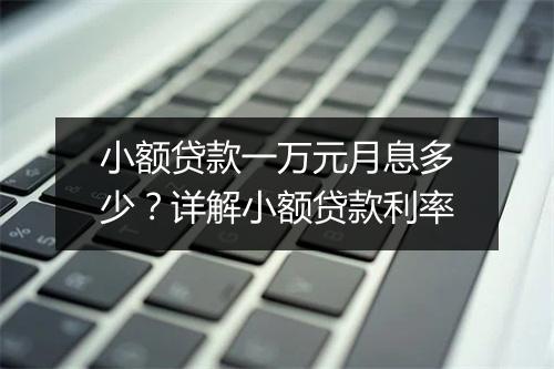 小额贷款一万元月息多少？详解小额贷款利率