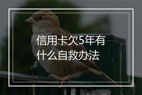 信用卡欠5年有什么自救办法