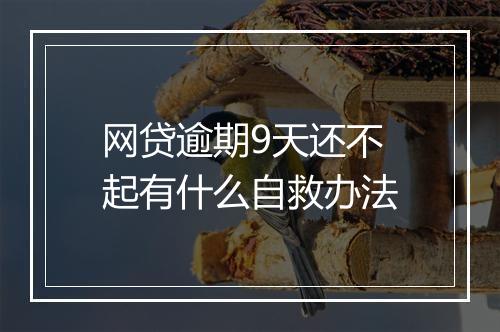 网贷逾期9天还不起有什么自救办法