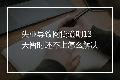失业导致网贷逾期13天暂时还不上怎么解决