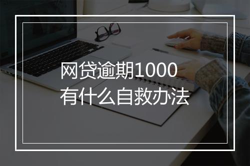 网贷逾期1000有什么自救办法