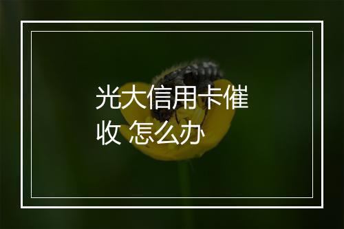 光大信用卡催收 怎么办
