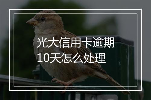 光大信用卡逾期10天怎么处理