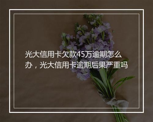 光大信用卡欠款45万逾期怎么办，光大信用卡逾期后果严重吗