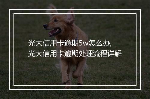 光大信用卡逾期5w怎么办,光大信用卡逾期处理流程详解
